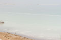 Dead sea (5101615550).jpg