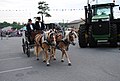 Delaware State Fair - 2012 (7681653572).jpg
