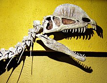 Dilophosaurus - Wikipedia