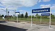 Miniatuur voor Station Domaniewice