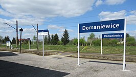 Station Domaniewice