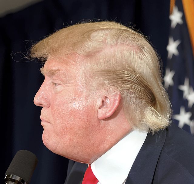 From commons.wikimedia.org: Donald Trump, From Images