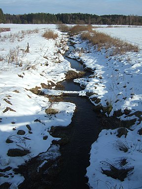 Drukupė netoli Norviliškių