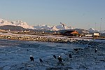 Miniatura para Homer (Alaska)