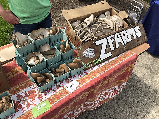 A merchant selling oyster mushrooms grown indoors.