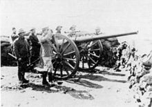 Elswick Battery gun in South Africa