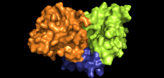 NDH-2 structure colored by domains Estrutura da NDH-2 colorida por dominios.png