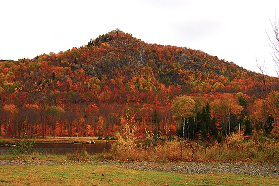 Fall in Quebec, 2014