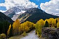 Fall in Yankee Boy Basin.jpg