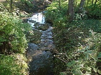 Neckar Feuerbach: Geographie, Schutzgebiete, Menschliche Eingriffe