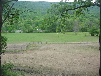 Fisher Farm Site.jpg