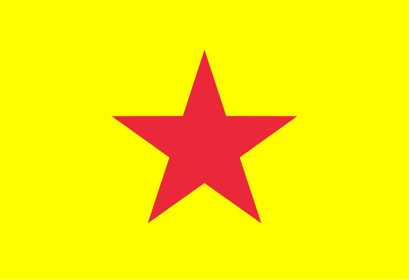 File:Flag of Daiviet National Socialist Party.svg