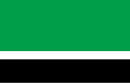 Flaga gminy Audru