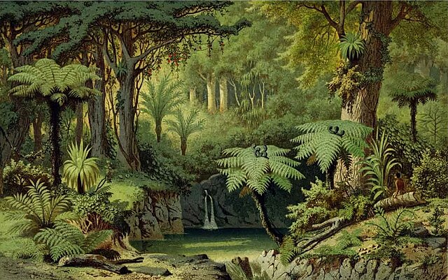 Drawing by Carl Frank Fischer of the forests near Papakura in the 1850s