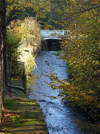 <span class="mw-page-title-main">Saint-Pierre-du-Regard</span> Commune in Normandy, France