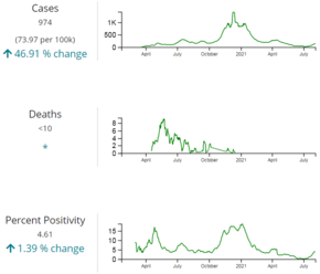 Graph of cases, deaths, and percent positivity change; the left column shows 7-day totals, rates, and percent change Franklin County, OH COVID-19 statistics.png