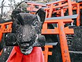 Fushimi Inari Taisha (50910890061).jpg