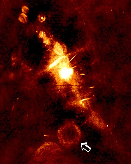 A radio image of the central region of the Milky Way galaxy. The arrow indicates a supernova remnant which is the location of a newly discovered transient, bursting low-frequency radio source GCRT J1745-3009.