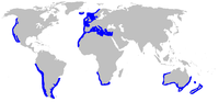 Distribución mundial de Galeorhinus galeus