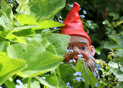 Garden gnome