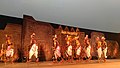 Gendi_dance_of_Chhattisgarh_at_Central_Park,_Connaught_Place_Delhi_P_20171117_172622_02