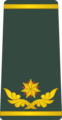 Georgian Defense Forces: ბრიგადის გენერალი