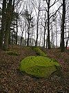 Großsteingrab Püttkesberge