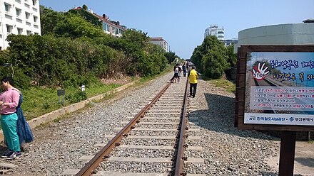 Walk along the disused rail track