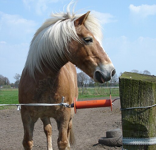 Gate Handle for Electric Horse Fence