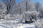 Rosengarten im Volkspark Hasenheide im Winter