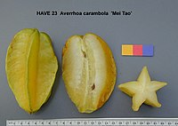 Carambola: Soort uit het geslacht Averrhoa