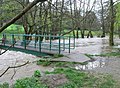 High water in the River Clwyd - geograph.org.uk - 2922655.jpg
