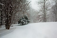 Snowfall from the storm covering roads in Clifton, Virginia