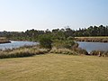 Haslams Creek, Homebush Bay