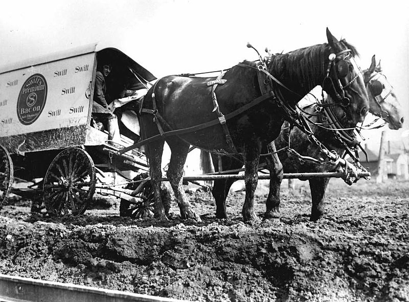 File:Horses and delivery wagon stuck in the mud.jpg