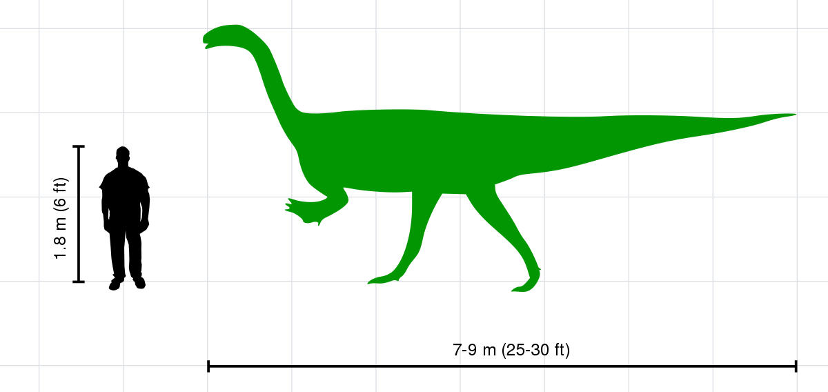 プラテオサウルス Wikipedia