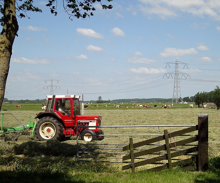 File:IHC 743 XL, Deutz-Fahr Kreiselschwader, Niederlande.jpg