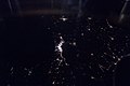 ISS050-E-13417 - View of Earth.jpg