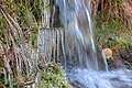 Ice coated plants by a small stream in Soportújar, Sierra Nevada National Park (DSCF5955).jpg