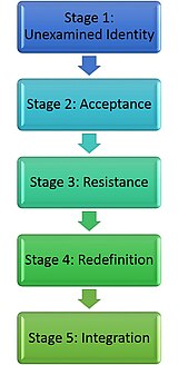 Majority Identity Development