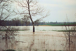 Ilmhochwasser im April 1994