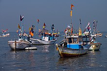 Fishing boats in Mumbai India - Fishing boats - 7250.jpg