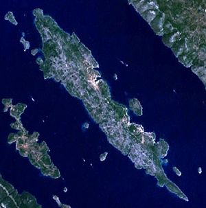 Iz satelite.jpg