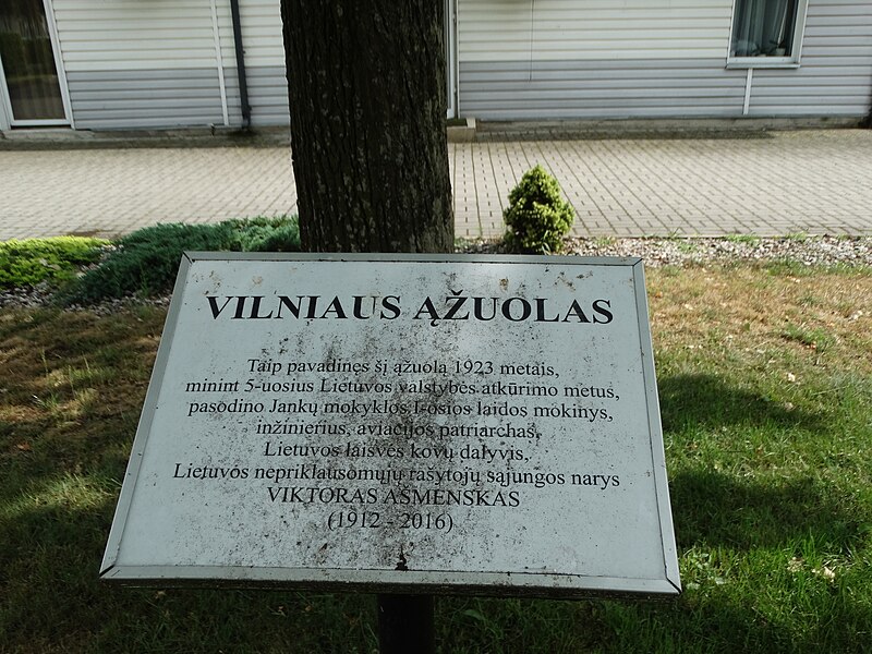 File:Jankai, Vilniaus ąžuolas, lenta.JPG