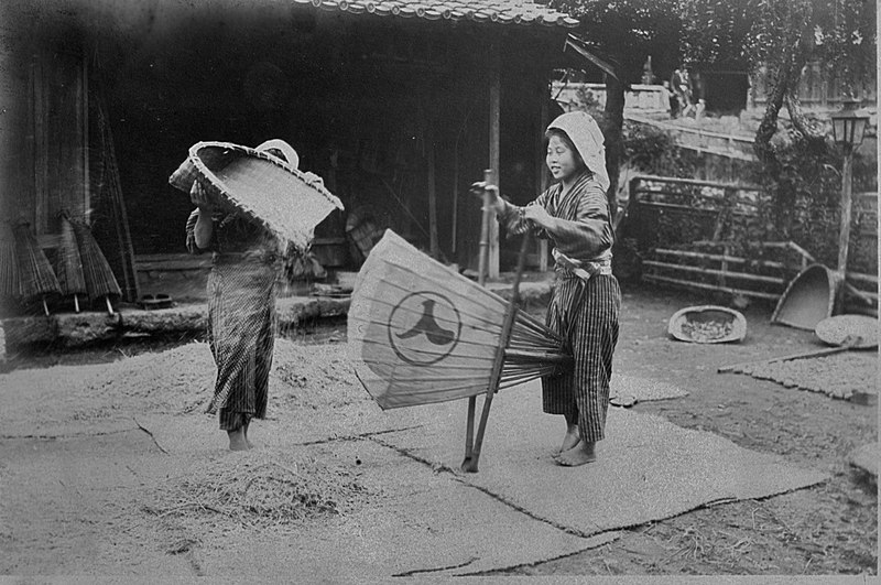 File:Japanese girls winnowing the grain.jpg