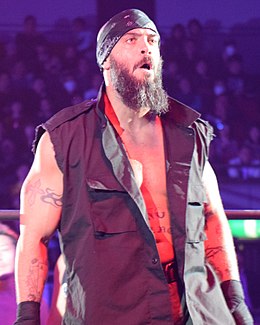 Jay Briscoe 2016.JPG