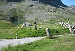 Julier Pass (Roman passport sanctuary; road) / Pass dal Giüglia