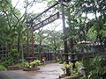 Eingangsbereich zum Paradies für Papageien im Jurong Bird Park