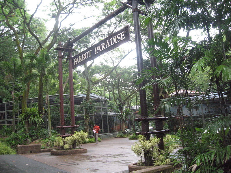 File:Jurong BirdPark 137.JPG