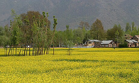 Tourism in Jammu and Kashmir